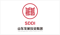 山东发展投资集团